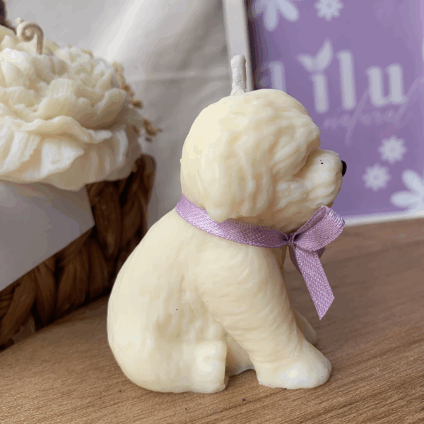 Vela Mascota | Poodle
