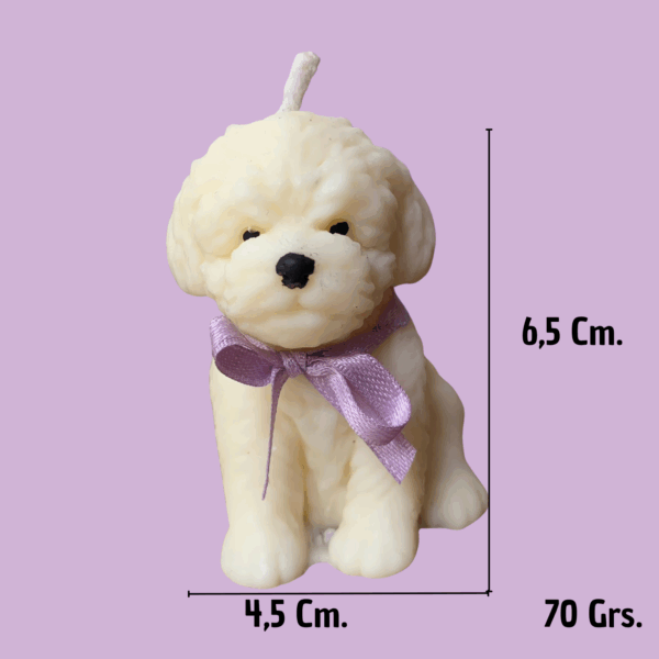 Vela Mascota | Poodle