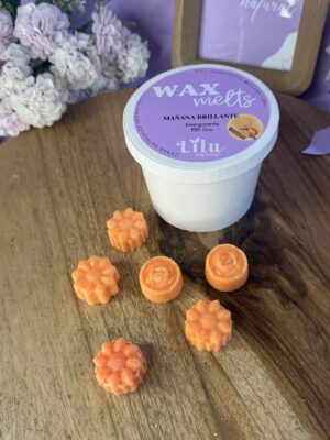 Wax melt ENERGIZANTE | Mañana Brillante