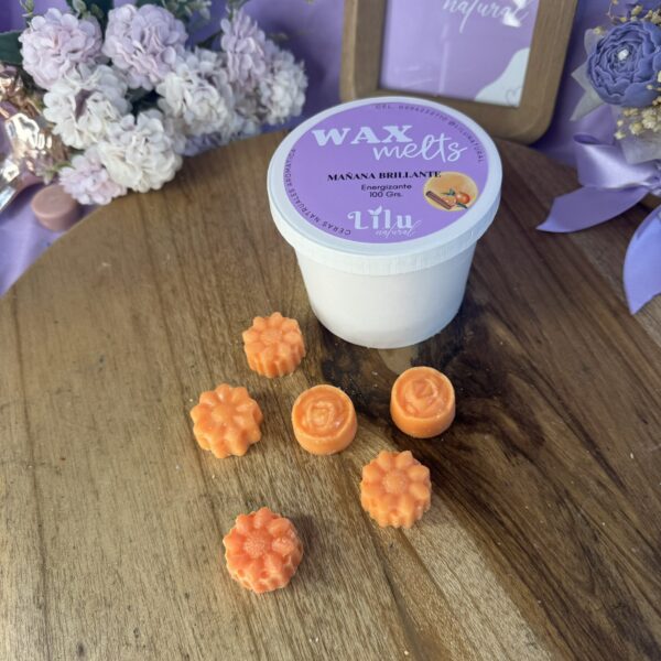 Wax melt ENERGIZANTE | Mañana Brillante