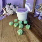 Wax melt CONEXION NATURAL | Bosque de Eucalipto