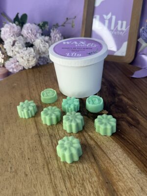 Wax melt CONEXION NATURAL | Bosque de Eucalipto