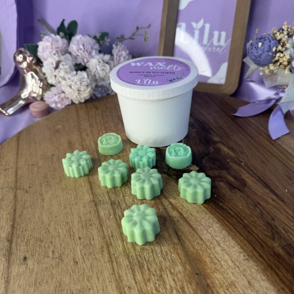 Wax melt CONEXION NATURAL | Bosque de Eucalipto