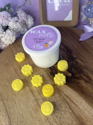 Wax melt DULCE TROPICAL| Piña colada