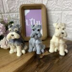 Vela Mascota | Schnauzer