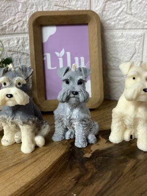 Vela Mascota | Schnauzer