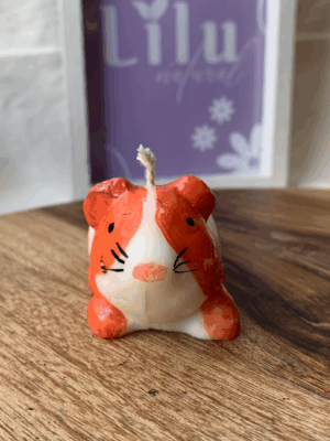 Vela de cuy bebe | KUYAY