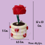 Vela Maceta | Florece