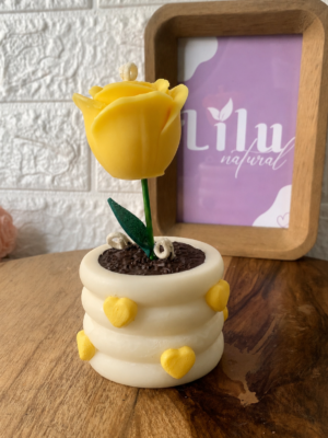 Vela Maceta | Florece