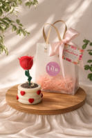 Vela Maceta | Florece