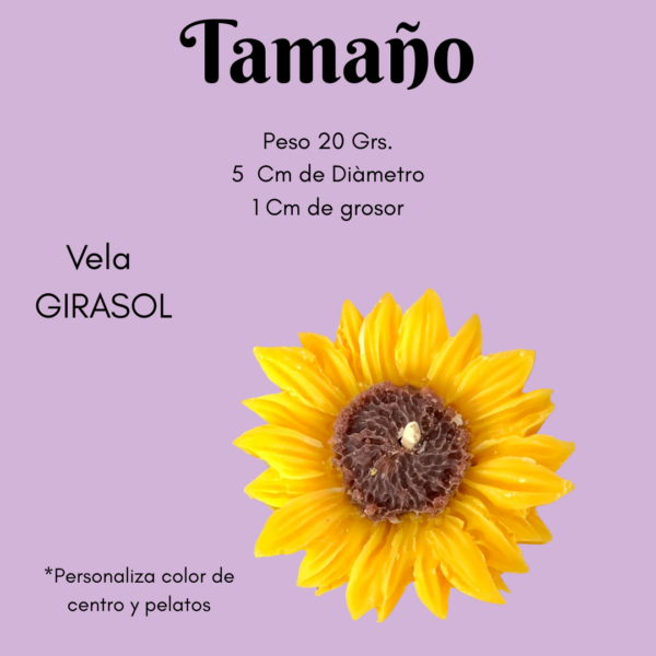 Souvenir tarjeta | Girasol