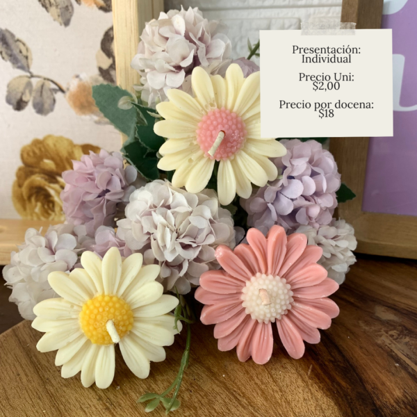 Souvenir Floral | Margarita