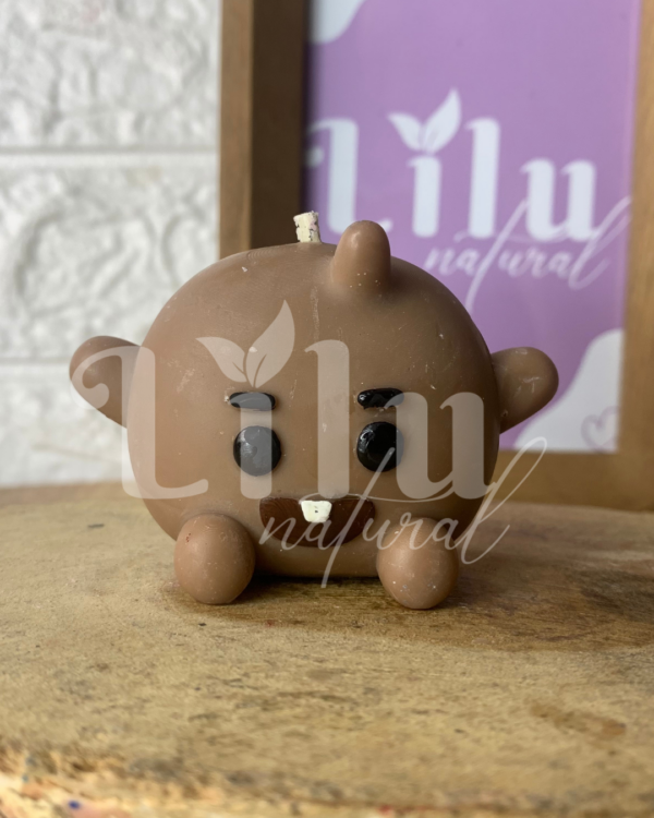 LILUPOP | COFFEE SHOOKY
