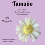 Souvenir tarjeta | Margarita