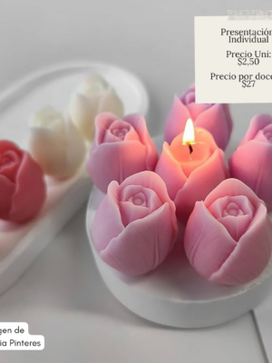Souvenir Floral | Tulipan