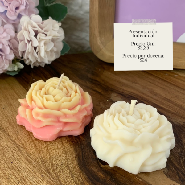 Souvenir Floral | Peonia