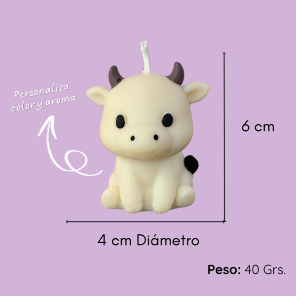 Souvenir Vela |  Vaquita