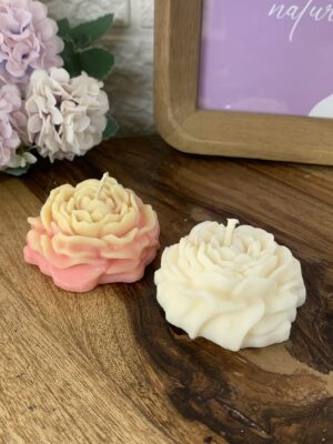 Souvenir Floral | Peonia