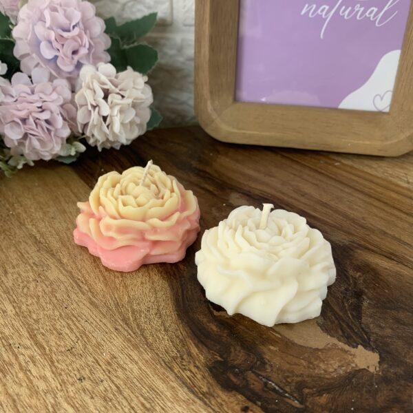 Souvenir Floral | Peonia