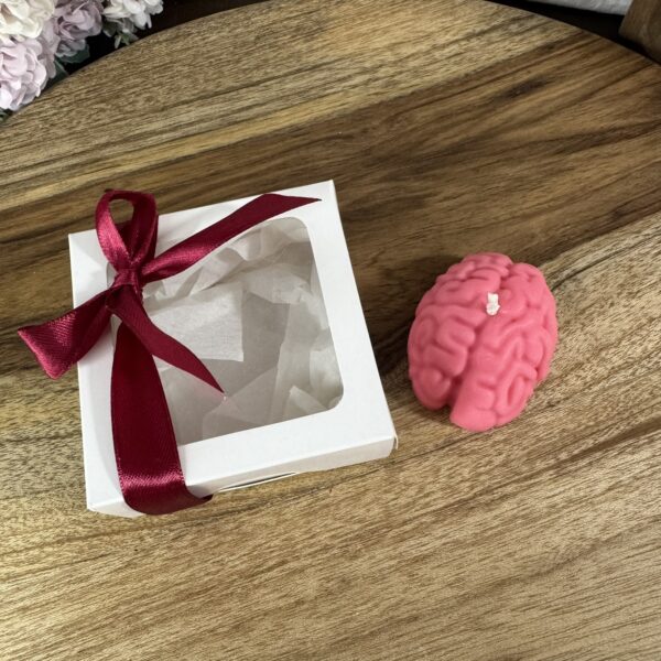 Vela | Cerebro