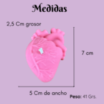Vela | Corazón Humano