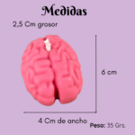 Vela | Cerebro