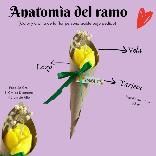 Ramo Individual de Vela | Tulipan